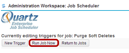 Click Run Job Now.