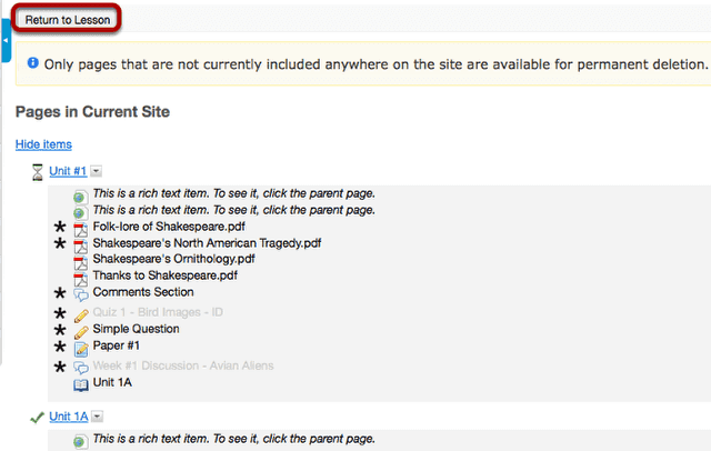 Click Return to Lesson or on any of the page links to return to Lessons view.